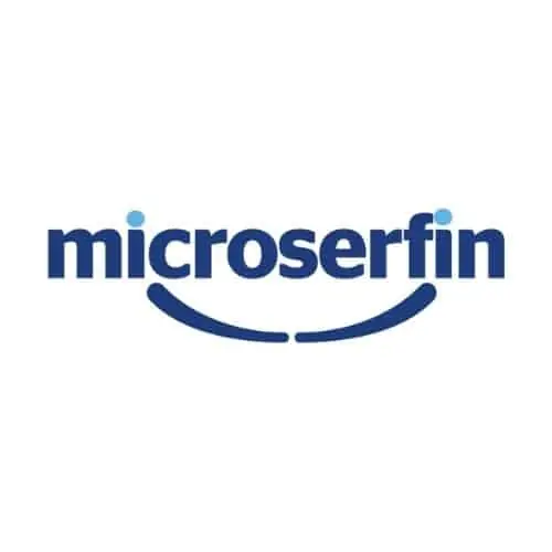 Microserfin