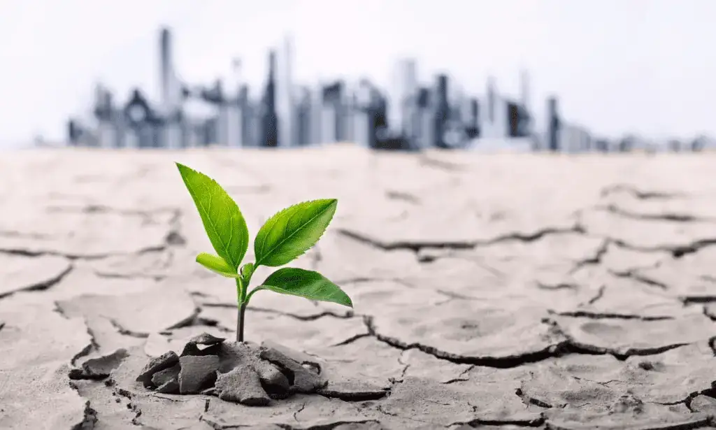 cambio climático